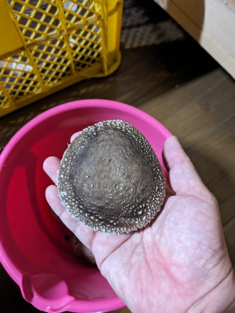 PXL_20231027_100340205