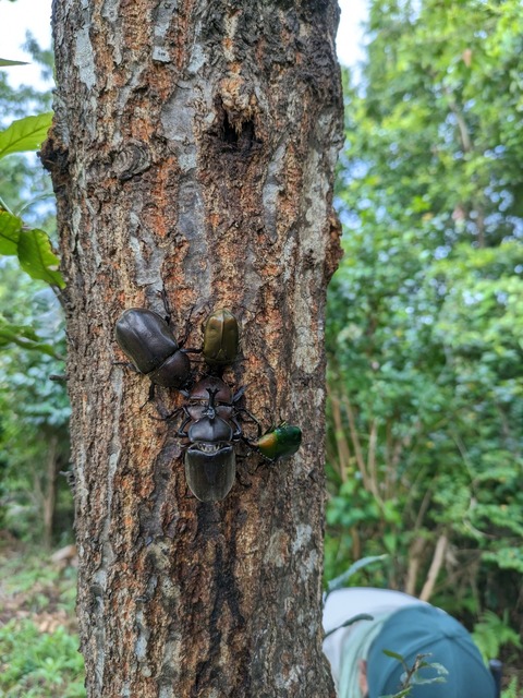 PXL_20230730_221924808