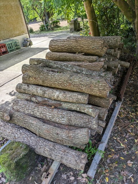 PXL_20240504_012700590