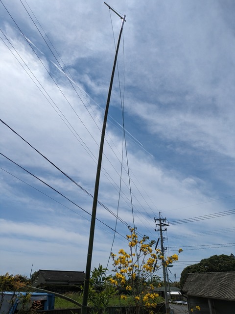 PXL_20240414_023625841