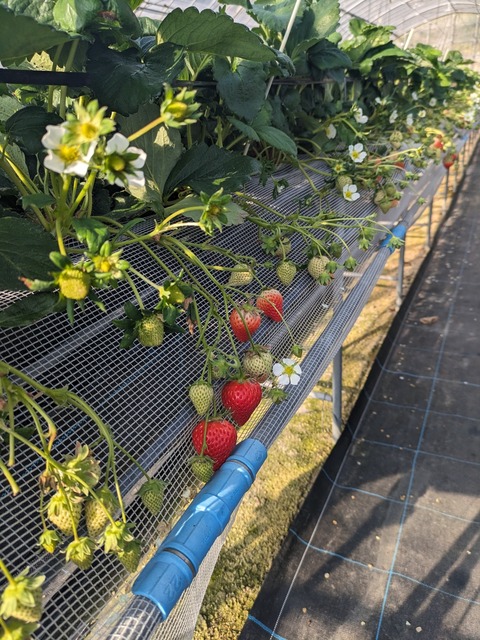 PXL_20240105_054325434