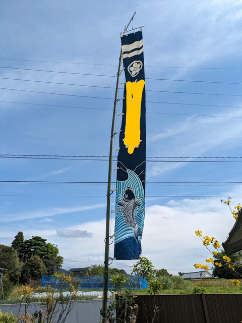 PXL_20240414_050130806~2