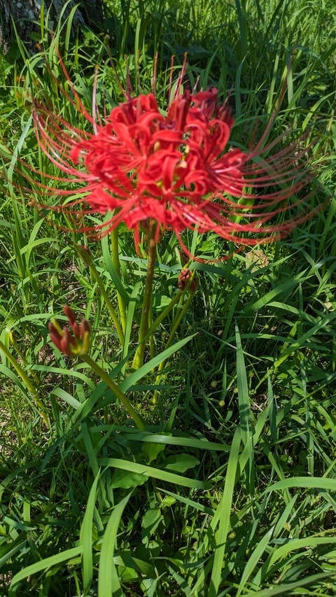 PXL_20230927_041310206