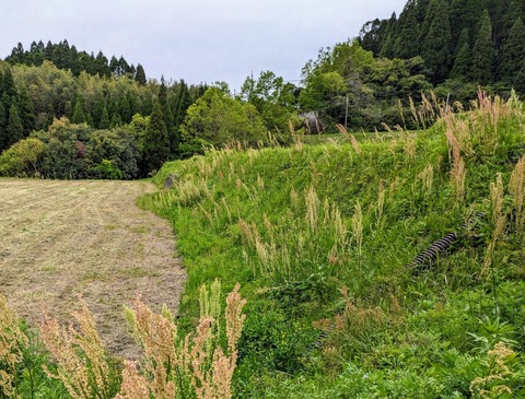 PXL_20240414_084549548