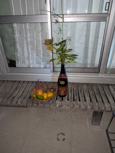 PXL_20251006_101209454