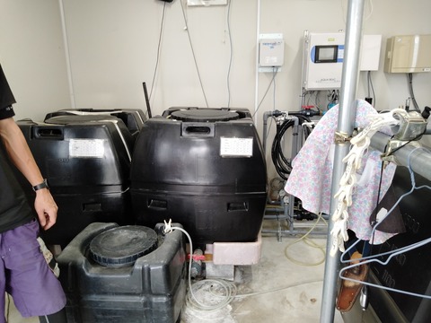 トマトハウス溶液