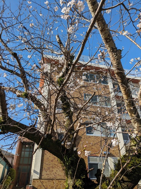 PXL_20240328_231405659