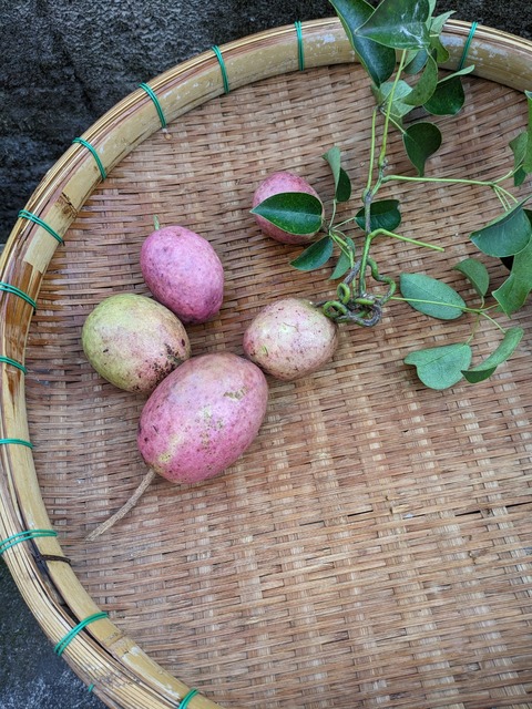 PXL_20231027_223348953