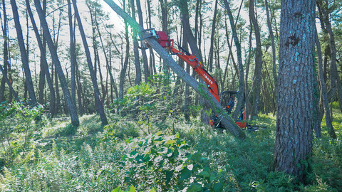 P1000740.00_01_48_16.静止画002