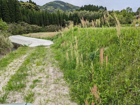 PXL_20240414_084537864