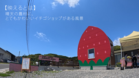 ショップ