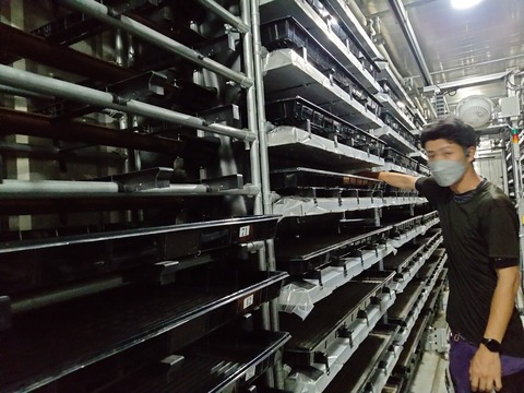 育苗コンテナ内部