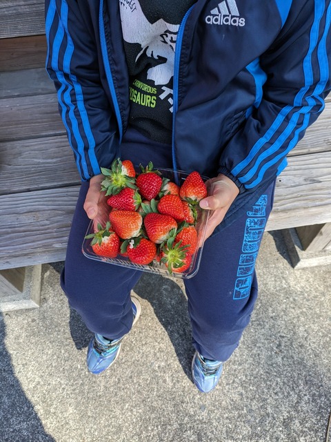 PXL_20240114_021936212