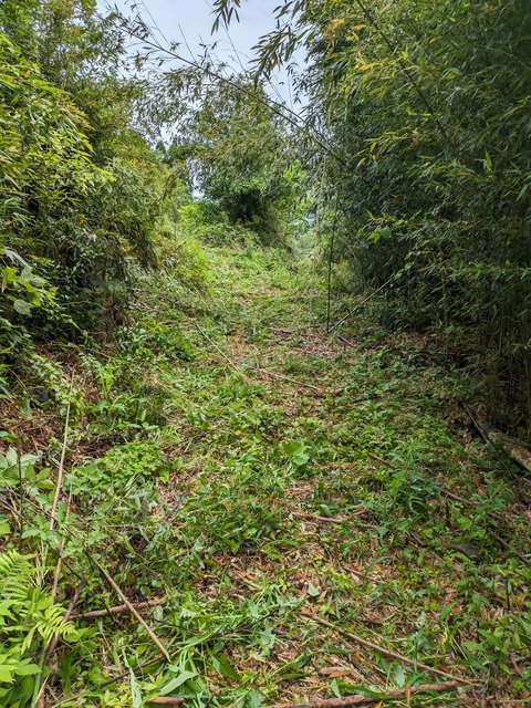 PXL_20240427_022902429