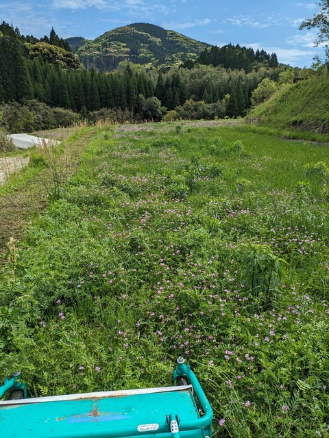 PXL_20240413_054224685