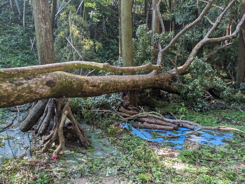 PXL_20240831_001035095