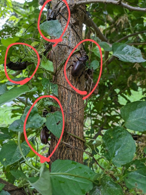 PXL_20230730_222056405~2