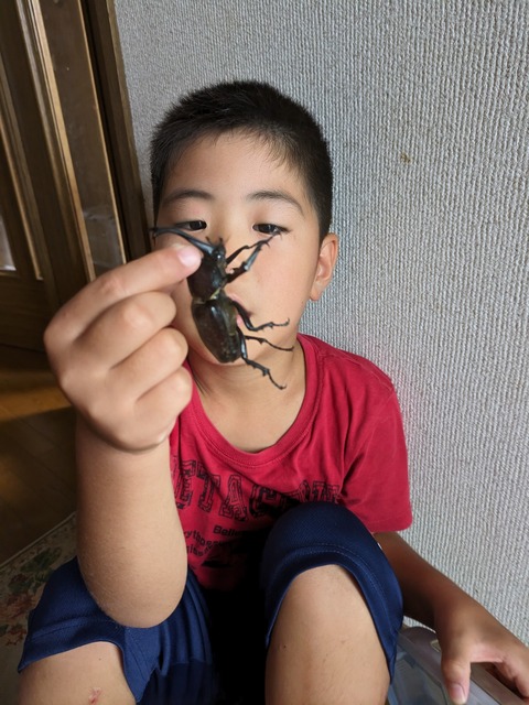 PXL_20230730_225004743