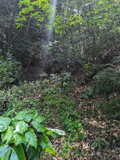 PXL_20240428_012257290