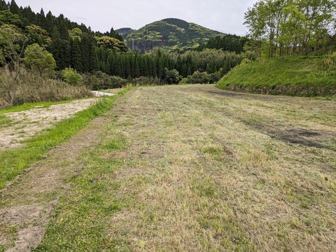 PXL_20240414_084458486