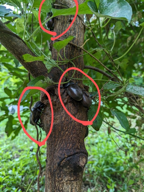 PXL_20230730_222053724~2