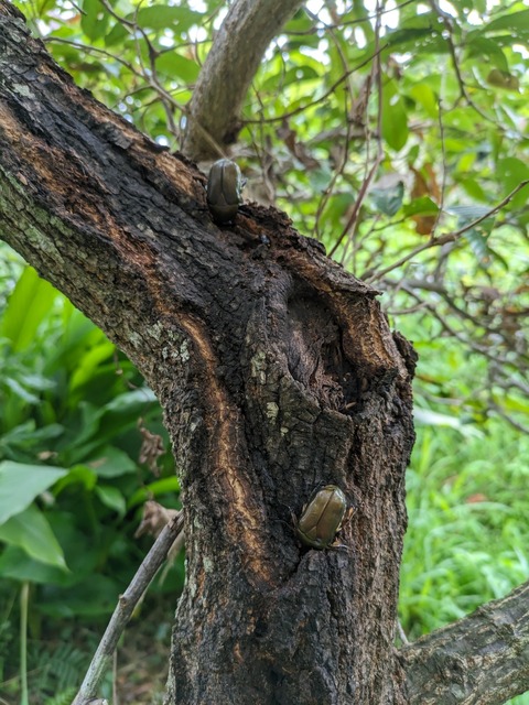 PXL_20230730_221853065