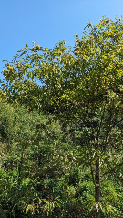 PXL_20230927_034302362