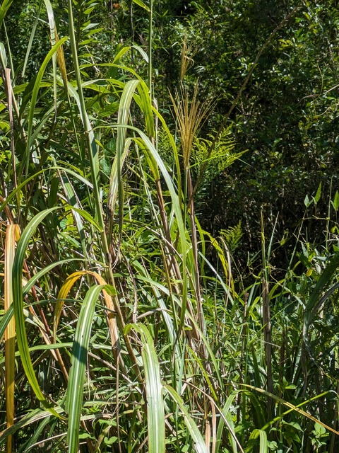 PXL_20230930_032035628