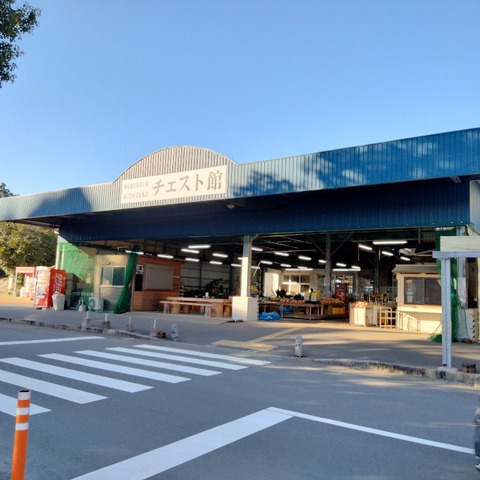 チェスト館