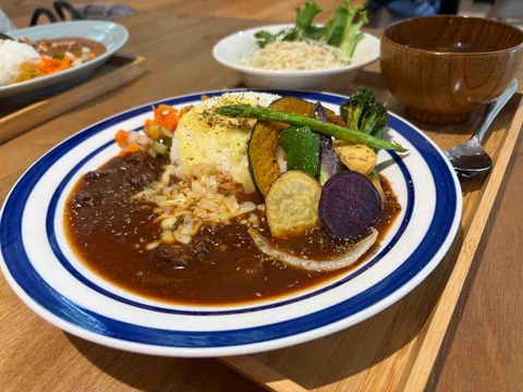 このハヤシライスは食欲をそそる芳醇な濃い味が自慢！野菜の素揚げがタップリトッピング！