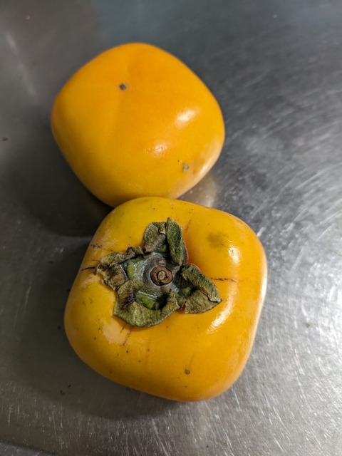 PXL_20231010_215806767