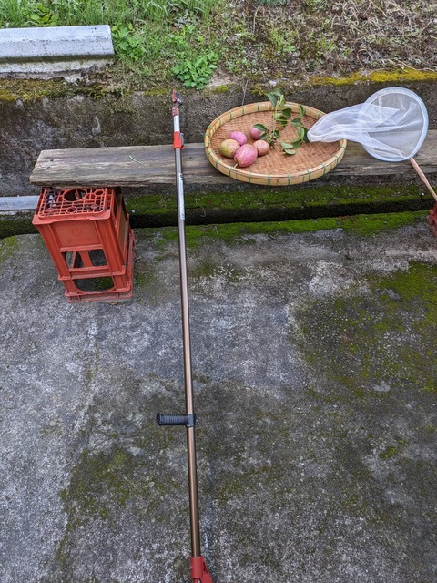 PXL_20231027_223341419