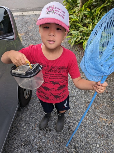 PXL_20230730_221700894