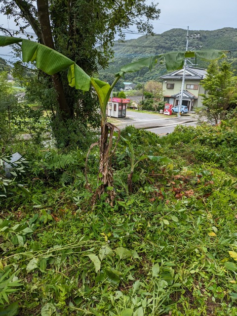 PXL_20230702_022551235