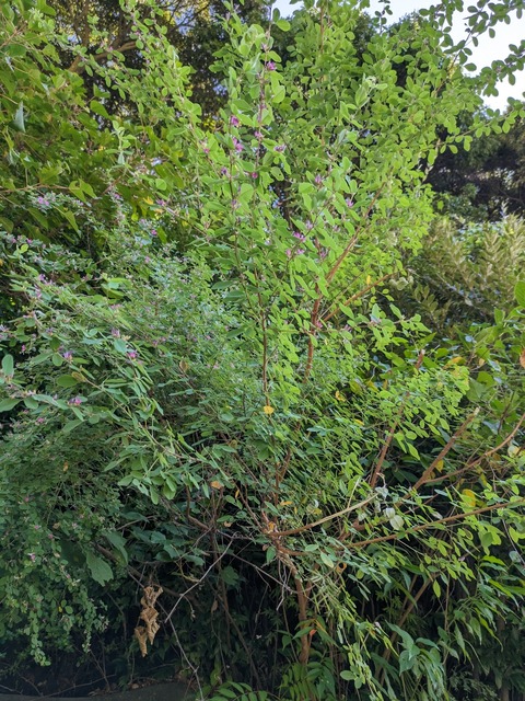 PXL_20230930_014250057