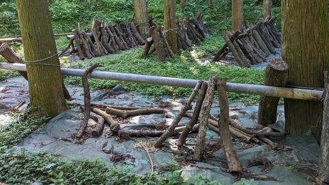 PXL_20230903_001413492