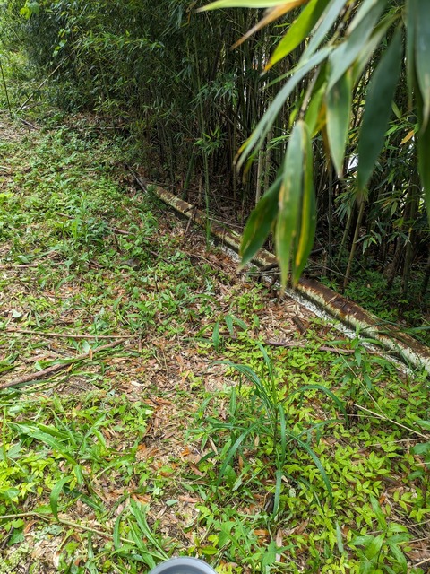 PXL_20240427_022905340