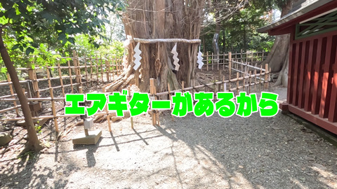 Daisy観光_46383