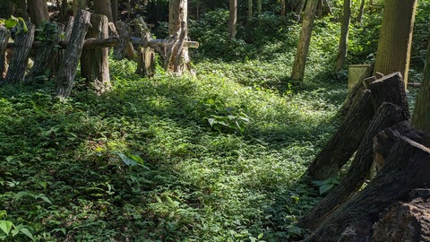 PXL_20230903_001420027