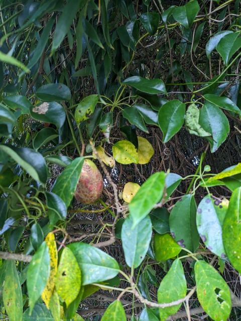 PXL_20231027_223808764