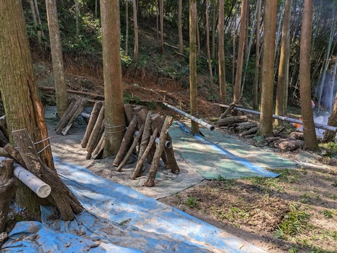 PXL_20240907_011055372