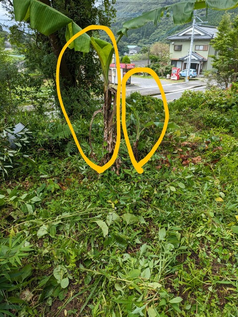 PXL_20230702_022549020~2