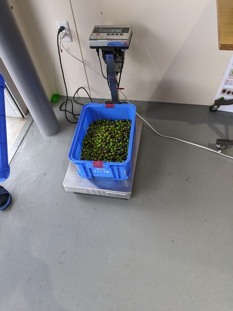 PXL_20231009_053435090