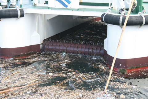 きんこうごみ回収中