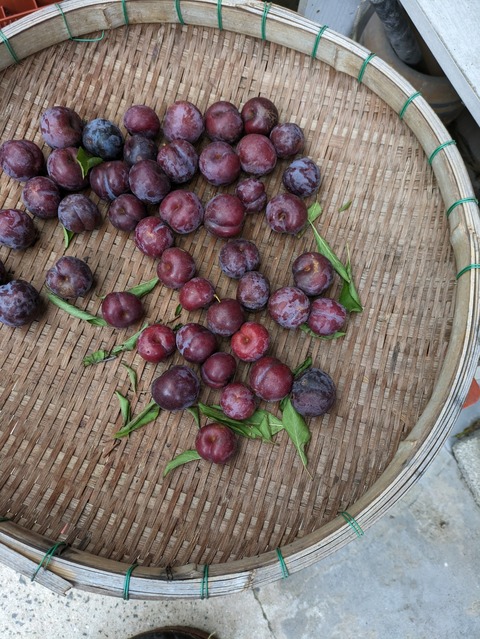 PXL_20230702_030353040