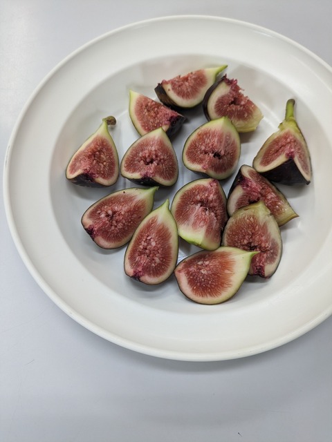 PXL_20231106_031830014