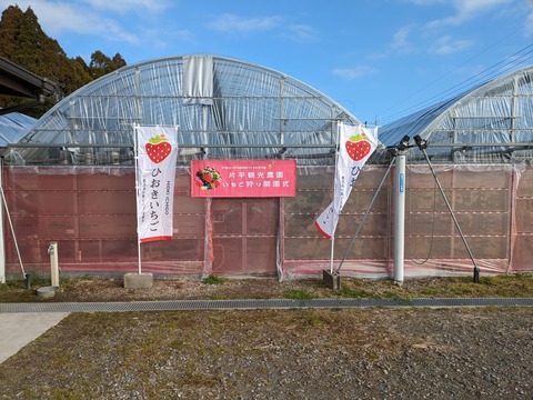 PXL_20240105_004332964
