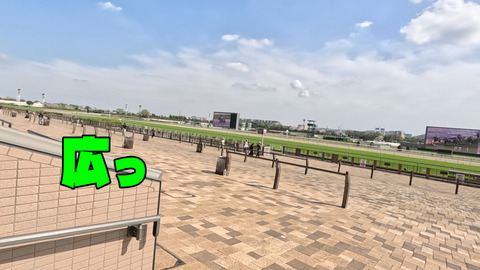 Daisy観光_56582