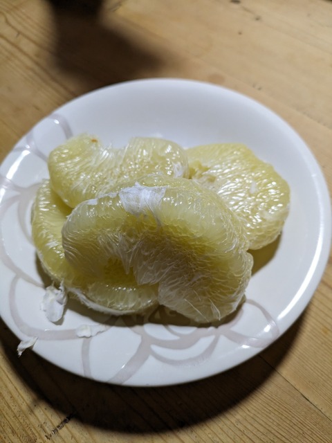 PXL_20231231_084405628