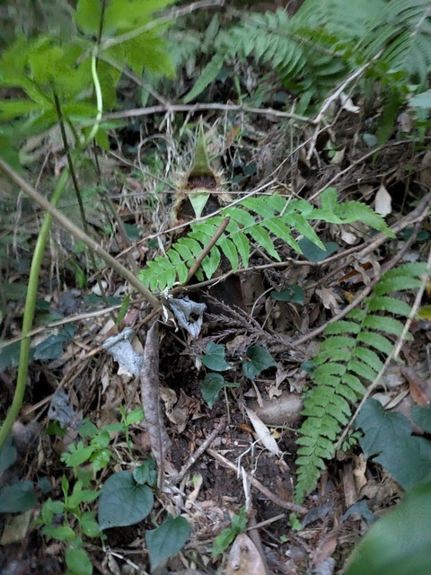 PXL_20260402_093421458